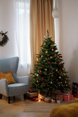 Decorated Christmas tree with presents